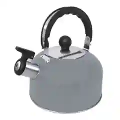 Серый металлик чайник со свистком HOME ELEMENT HE-WK1604B, светло-серый матовый