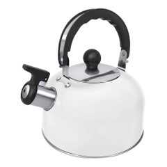 Чайник со свистком HOME ELEMENT HE-WK1603B, белый матовый