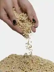 Белый наполнитель для кошачьего туалета, комкующийся 5 кг