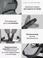 Тёмно-серый коляска для новорожденных, трансформер 2 в 1, Aimile Original Autumn