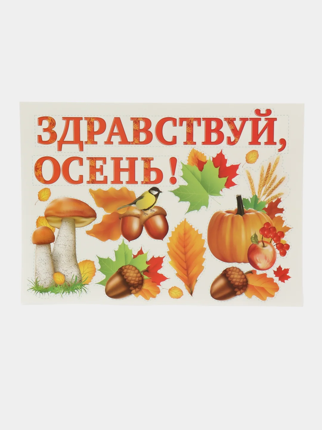 Оранжевый декор, наклейки для оформления садика, школьного класса на 1 Сентября Праздник осени