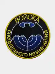 Нашивка шеврон на одежду Войска специального назначения, на липучке