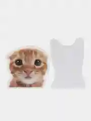 Наклейки мемные коты 50 штук