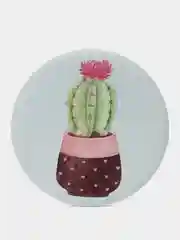 Зеленый карманное зеркало