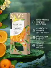 Диффузор ароматический, 2 шт, ароматизатор для дома