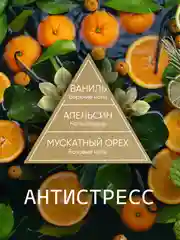 Ароматизатор для дома диффузор ароматический 2 шт