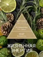 Ароматизатор для дома диффузор ароматический 2 шт