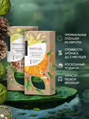 Ароматизатор для дома диффузор ароматический 2 шт