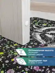 Черный коврик придверный в прихожую "Флорт Принт Енот" 40х60 см, ВИЛИНА