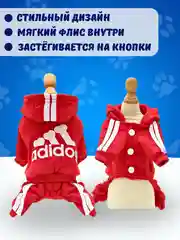 Красный комбинезон спортивный для собак и кошек, с капюшоном, 7 цветов