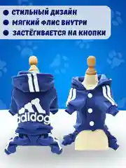 Синий комбинезон спортивный для собак и кошек, с капюшоном, 7 цветов