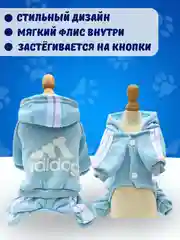 Голубой комбинезон спортивный для собак и кошек, с капюшоном, 7 цветов