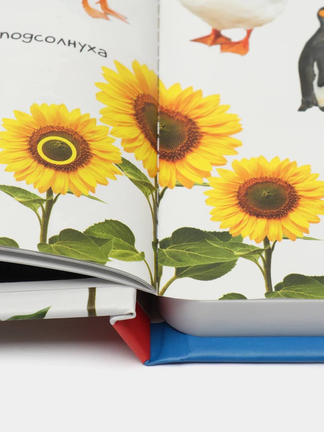 Говорящая книга для детей Нажималка Цифры