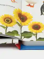 Говорящая книга для детей Нажималка Цифры