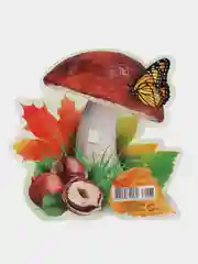 Грибы
