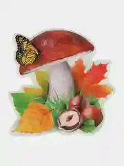 Грибы