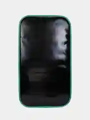 Ледянка 1TOY Rick and Morty, прямоугольная, 72х41 см