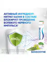 Зубная паста Sensodyne Свежесть Трав для чувствительных зубов, 75 мл, 2 шт