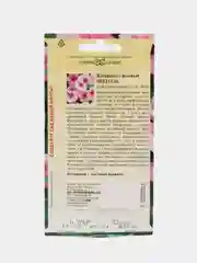 Барвинок розовый (Катарантус) Щеголь (семена,цветы)