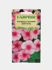 Барвинок розовый (Катарантус) Щеголь (семена,цветы)