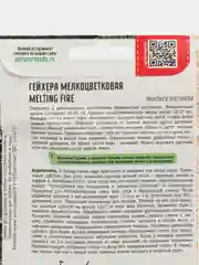 Гейхера мелкоцветковая Melting Fire (семена,цветы)