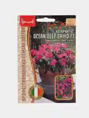 Катарантус Ocean Deep Orhid F1 (семена,цветы)