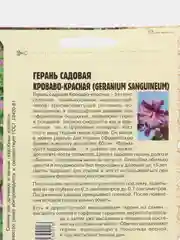 Герань садовая Кроваво-Красная (семена,цветы)