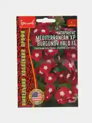 Катарантус Mediterranean XP Burgundy Halo F1 (семена,цветы)