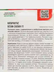 Катарантус Ocean Cherry F1 (семена,цветы)