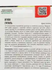 Агава Сизаль (семена,цветы)
