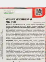 Катарантус Mediterranean ХР Dark Red F1 (семена,цветы)