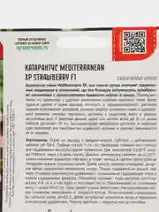 Катарантус Mediterranean XP Strawberry F1 (семена,цветы)
