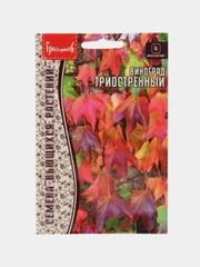 Виноград Триостренный (семена)