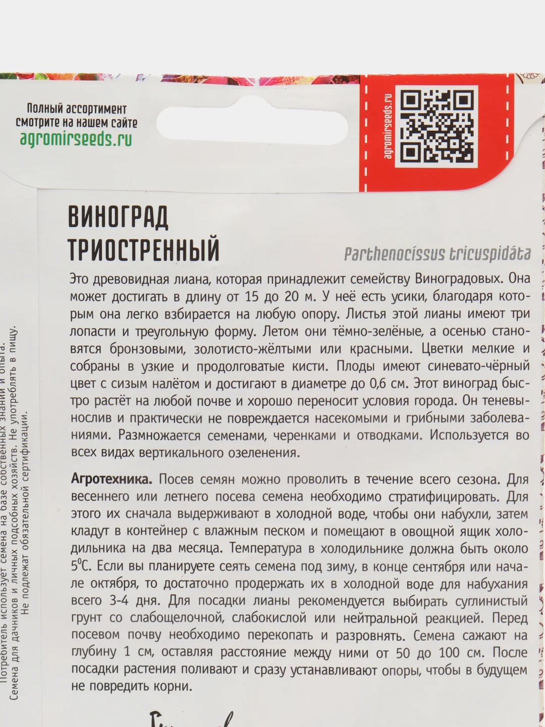 Виноград Триостренный (семена)