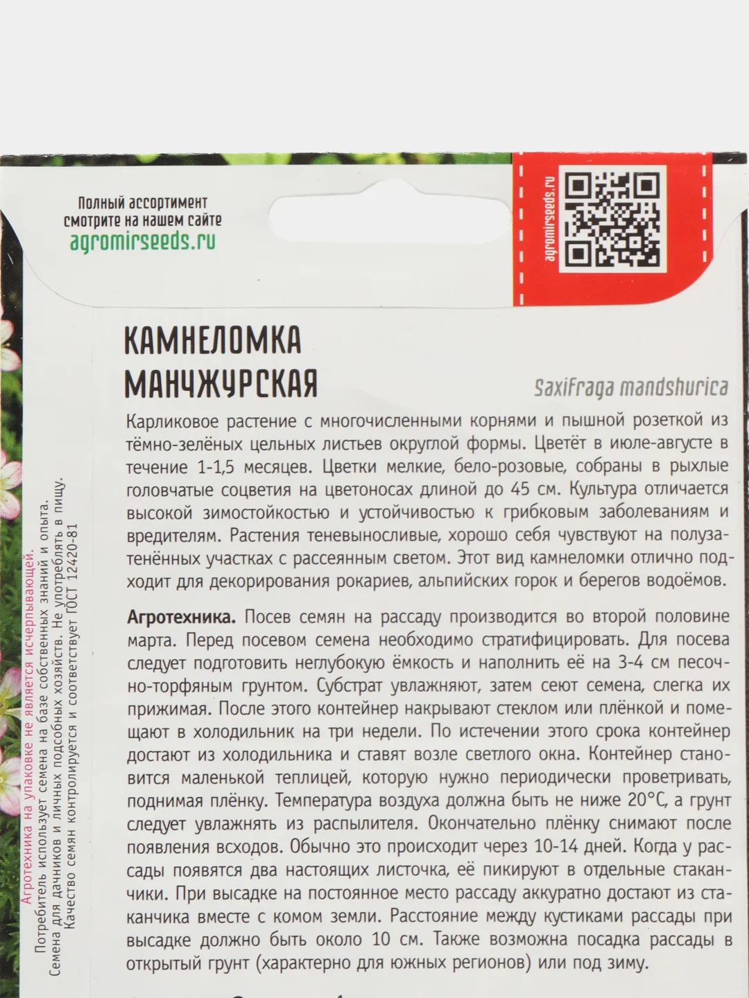 Камнеломка Манчжурская (семена,цветы)