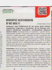 Катарантус Mediterranean XP Hot Rose F1 (семена,цветы)