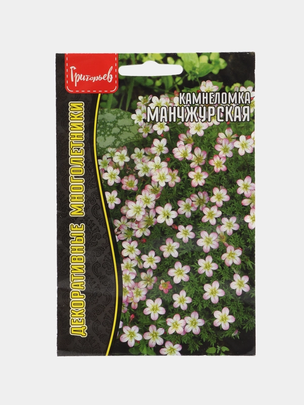 Камнеломка Манчжурская (семена,цветы)
