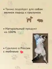 Когтеточка лежанка, картонная, усиленная, 50 х 24 х 3,1