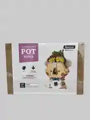 Деревянный конструктор Robotime Flower pot koala кашпо