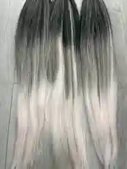 Лайм канекалон Easy Braids, для афрокосичек и дредов