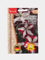 Петуния SUCCESS 360 Red Star F1 (семена,цветы)