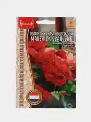 Пеларгония крупноцветковая Maverick Scarlet F1 (семена,цветы)
