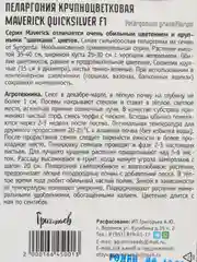 Пеларгония крупноцветковая Maverick Quicksilver F1 (семена,цветы)
