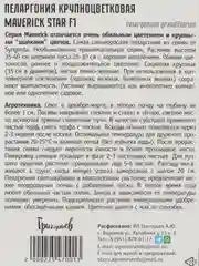 Пеларгония крупноцветковая Maverick Star F1 (семена,цветы)