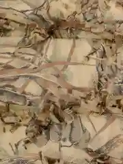 Сетка Маскировочная