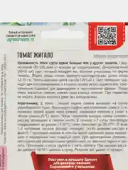 Томат Жигало (семена)