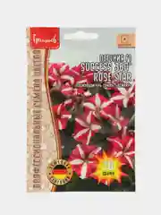 Петуния SUCCESS 360 Rose Star F1 (семена,цветы)