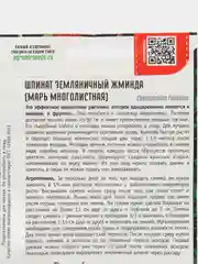 Шпинат земляничный Жминда (Марь многолистная) (семена)