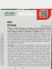 Мята Перечная (семена)