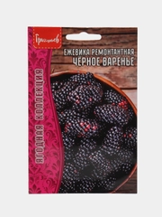 Ежевика ремонтантная Чёрное Варенье (семена)
